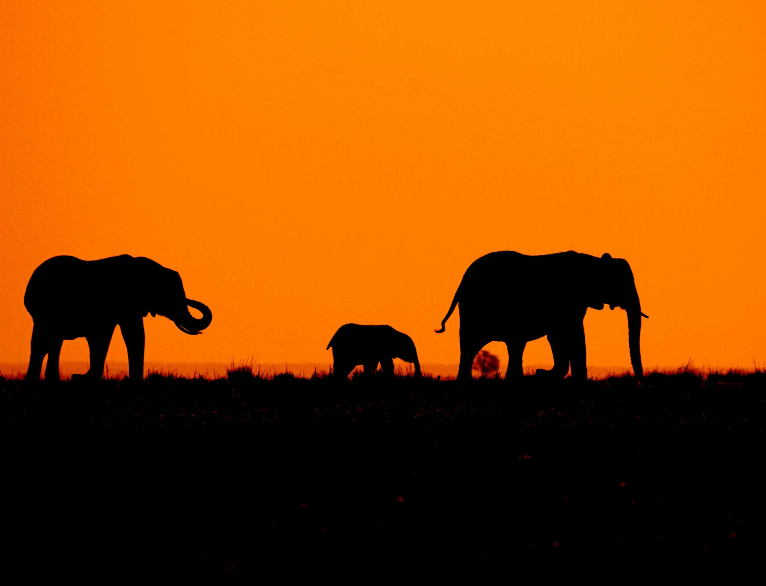 Tour safari Africa agosto